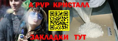 ECSTASY Ковров