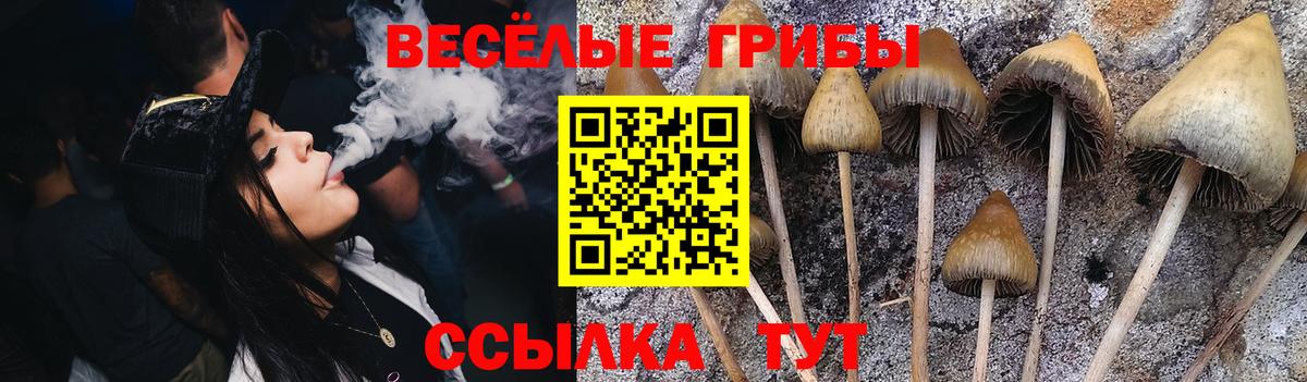 Псилоцибиновые грибы ЛСД Карасук